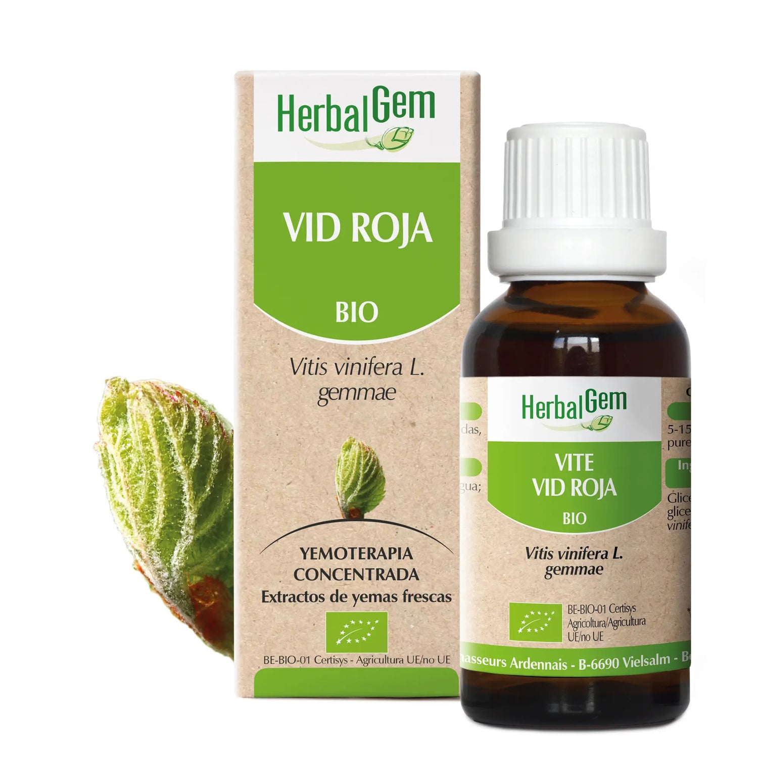 Herbalgem Red Vine 15 ml