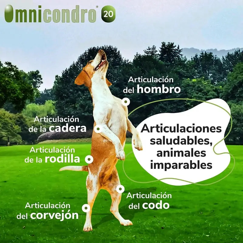 Omnicondro 10 Chondroprotector Dogs 60 tablets