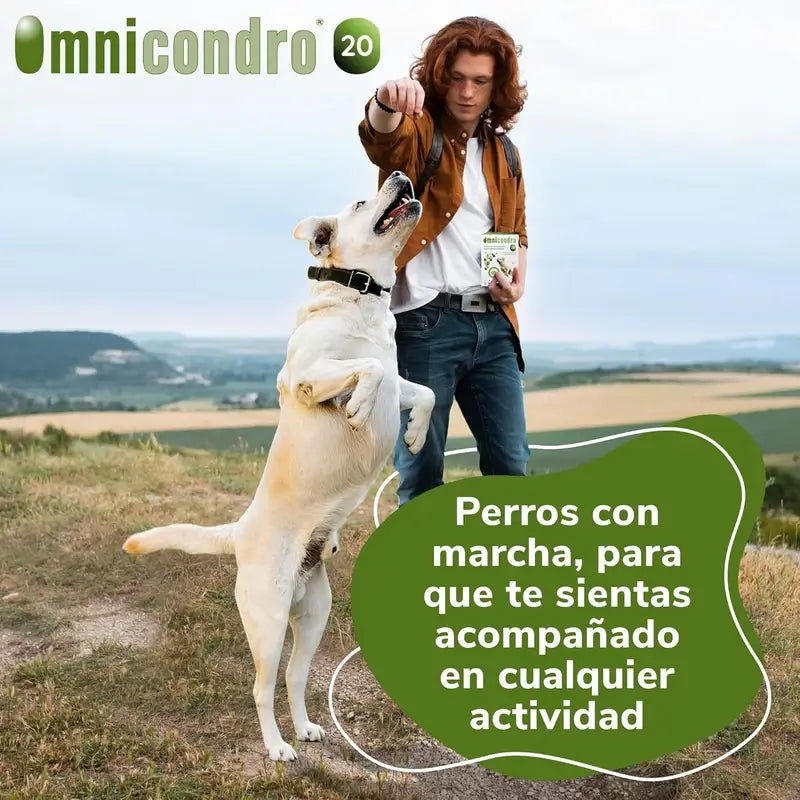 Omnicondro 20 Chondroprotector Dogs, 60 Tablets