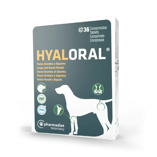 Hyaloral Large & Giant Breed Dog, 36 tablets
