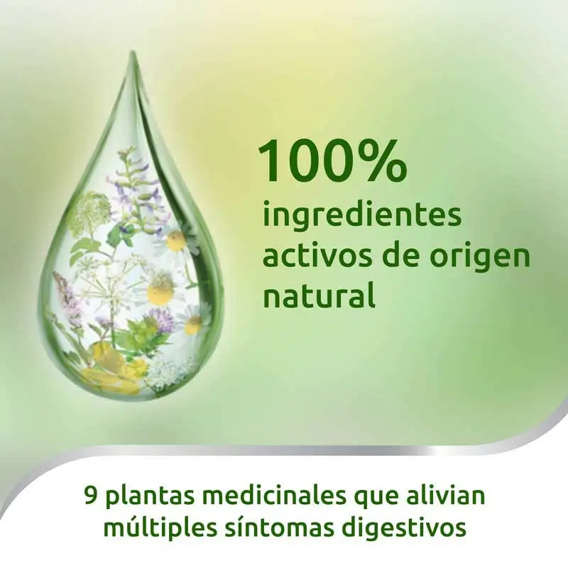 Iberogast Oral Drops 50 ml