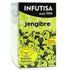 Infutisa Ginger, 25 Filters