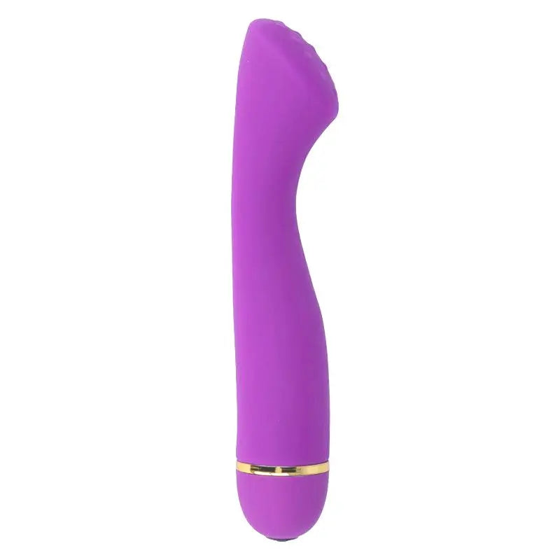 Intense Fun Lilo 20 Speeds Silicone Lila