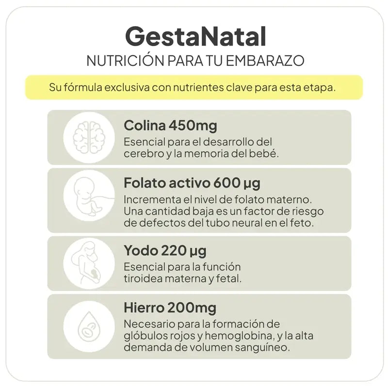 Ivb Wellness Lab Gestanatal, 60 capsules