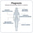 Ivb Wellness Lab Deep Rest Pack, Total Magnesium, 60 capsules + SomniLove, 180 g