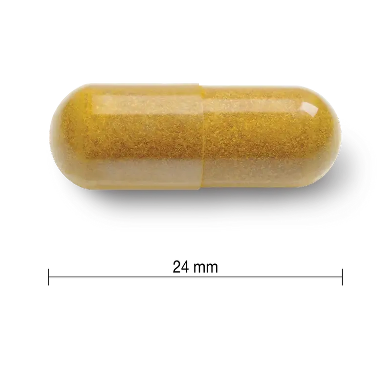 Jamieson Curcumin Curcuma 550Mg , 60 capsules