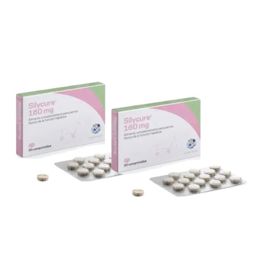 Karizoo Silycure 160 mg, Pack of 2 x 30 tablets