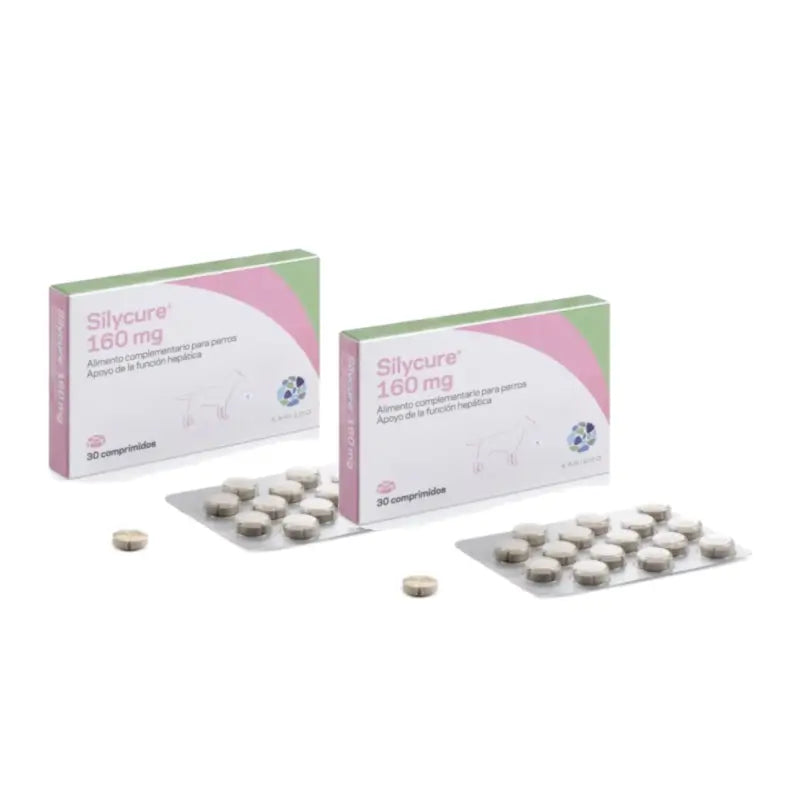 Karizoo Silycure 160 mg, Pack of 2 x 30 tablets