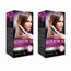 Kativa Express Veg Brazilian Keratin Straightening Kit, pack of 2