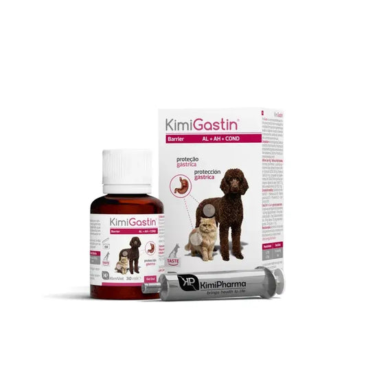 Kimigastin Oral Gel 30Ml