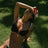 Kream Bloody Mary Tan Activator, 2x150 ml