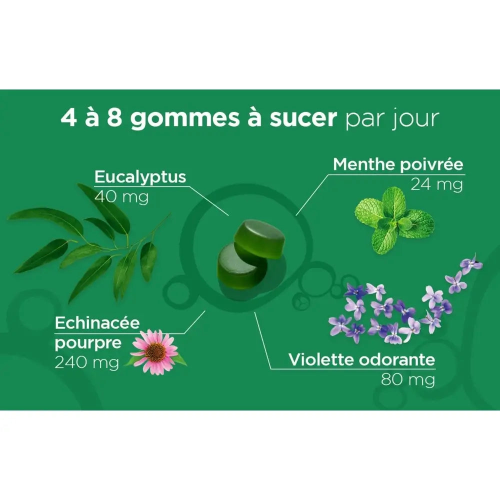 Lehning L52 Gommes Gummy Sweets , 90 units