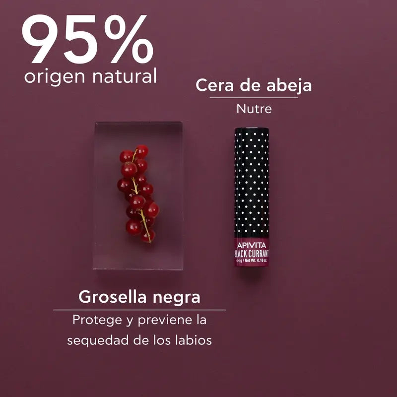 APIVITA Coloured Lip Balm with Blackcurrant 4.4g