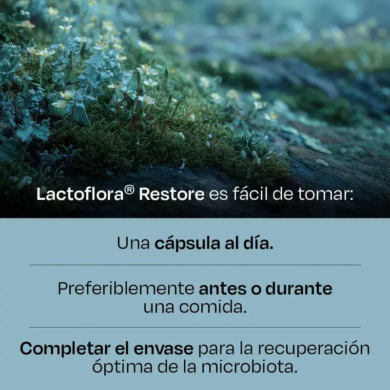 Lactoflora Restore Pack 3 x 20 capsules