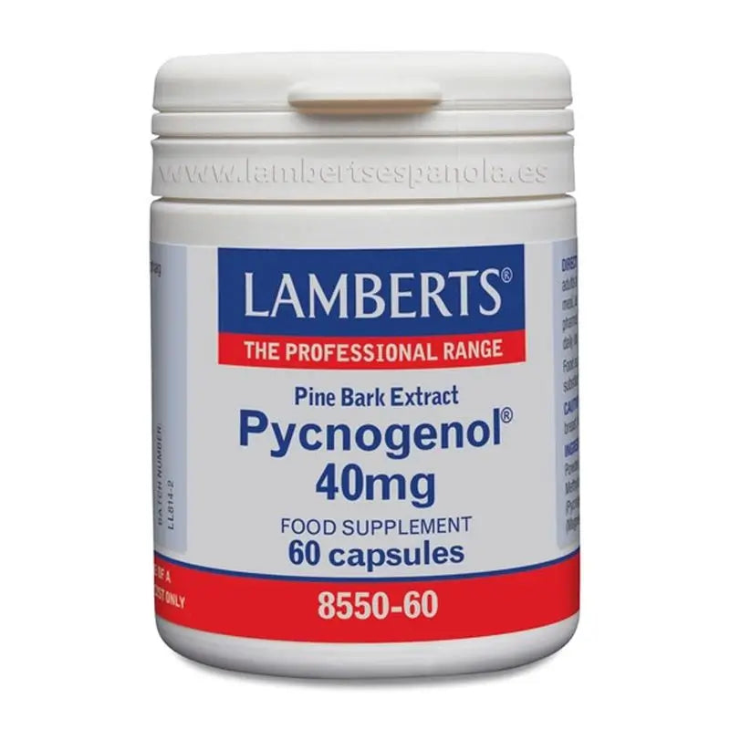 Lamberts Pycnogenol , 60 capsules