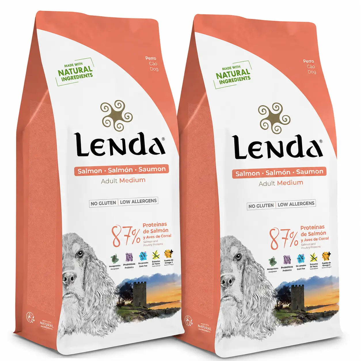 Lenda Adult Dog Salmon, 2 X 2 kg