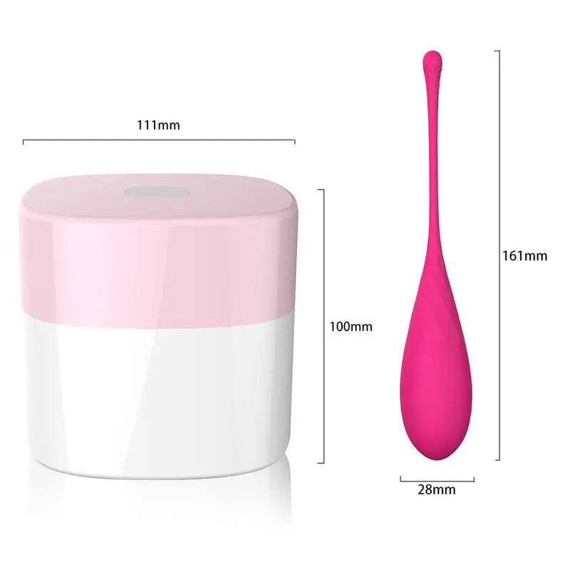 Leslie Kegel Fit Pelvic Floor Trainer 6 Weights