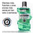 Listerine Tooth & Gum Protection Mouthwash Fresh Mint, 500 Ml