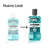 LISTERINE Menthol Mouthwash, 500 ml