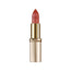 L'Oréal Paris Color Riche 108 Brun Cuivre Rose Brown Lipstick