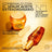 L'Oréal Paris Elvive Extraordinary Oil Nourishing Mask, 310 ml