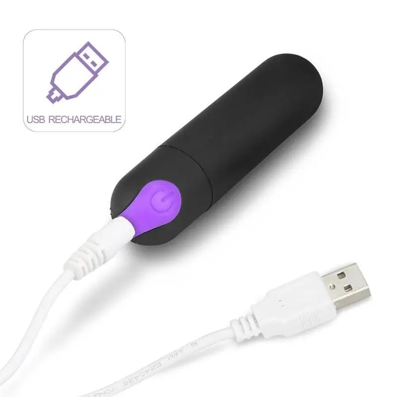 Lovetoy Ijoy Panty Stimulator Remote Control Usb