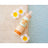 Masco Beauty Sun Protection Spray For Dogs, 125ml