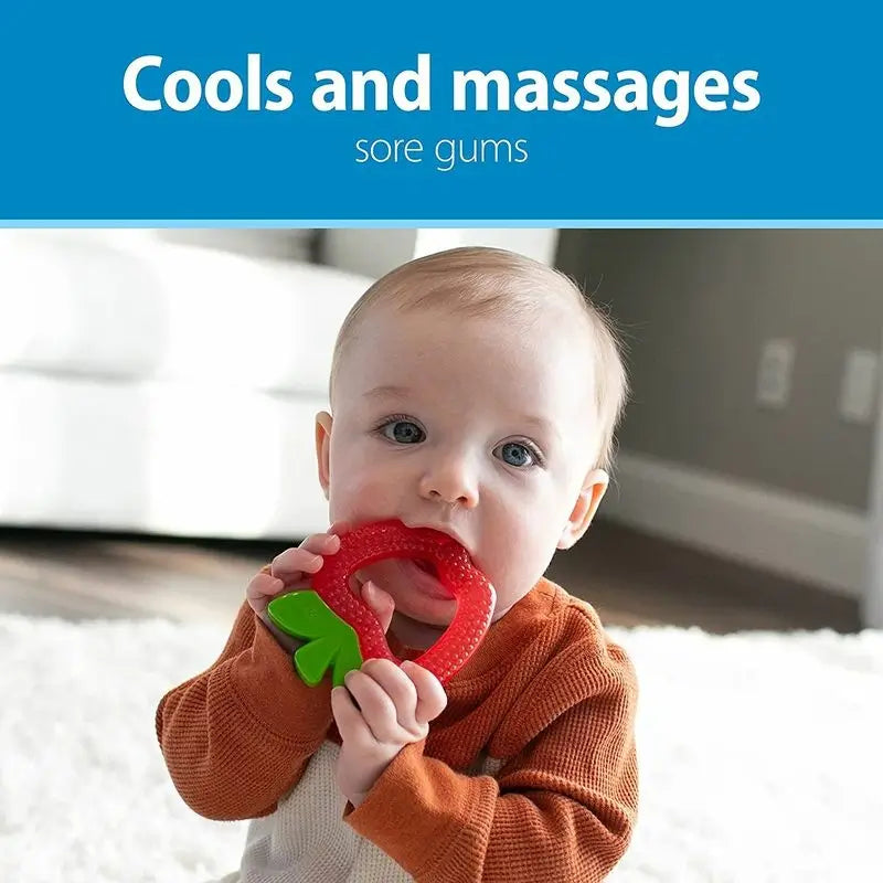 AquaCool Fruit Teether