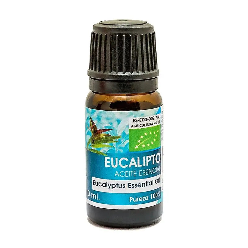 Natura Premium Essential Oil Eucalyptus Bio , 10 ml