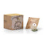 Naturcid Stevia Leaves Infusion 10Piramides. Eco