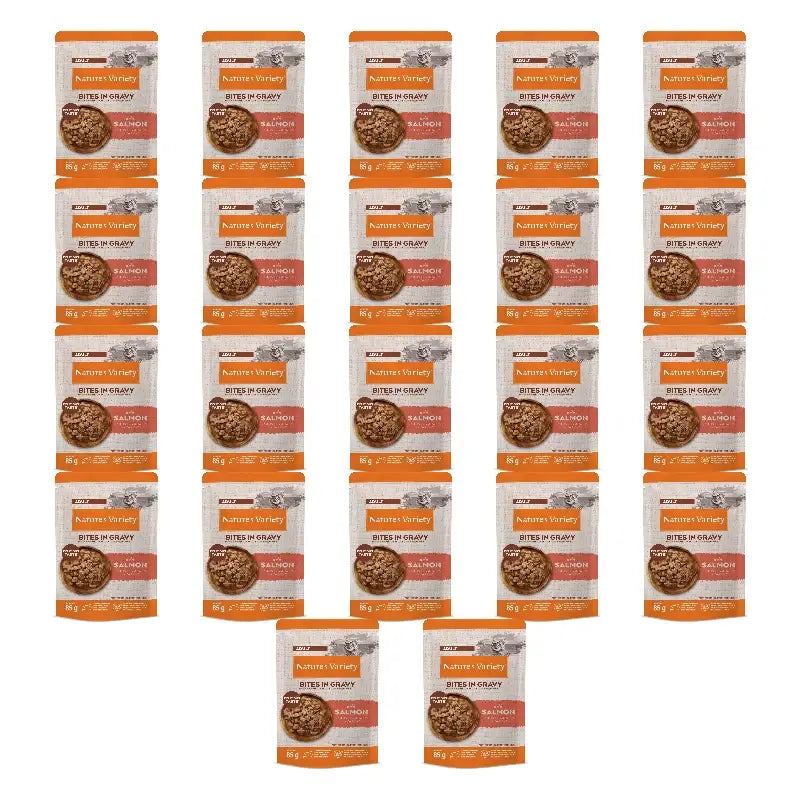 Nature's Variety Wet Cat Food, With Salmon, Multipack, 22 x 85 g