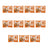 Nature's Variety Mini Flowpack, 100 g, pack of 11