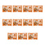 Nature's Variety Mini Flowpack, 100 g, pack of 11