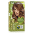 Naturtint Permanent Colouring Ammonia Free Dye 6.45 - Dark Amber Blonde