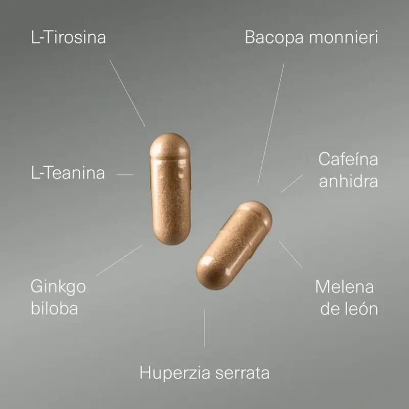Aldous Labs Nootropic with Ginkgo Biloba, Lion's Mane, Caffeine, Bacopa, Tyrosine, Theanine, Theanine and Huperzine A