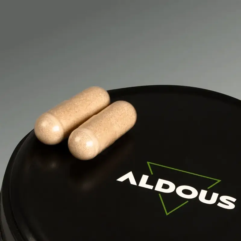 Aldous Labs Nootropic with Ginkgo Biloba, Lion's Mane, Caffeine, Bacopa, Tyrosine, Theanine, Theanine and Huperzine A