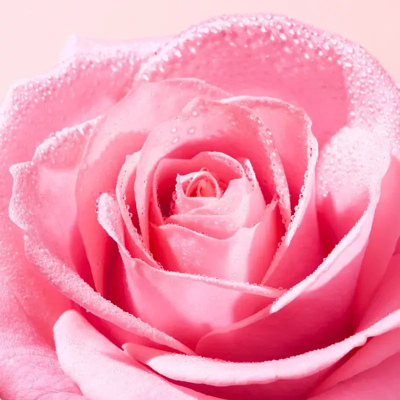 Nuxe Very Rose Lip Balm