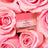 Nuxe Very Rose Lip Balm