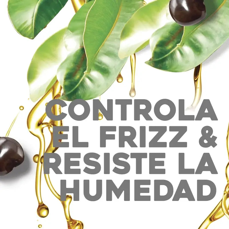 OGX Kukui Oil Anti-Frizz Conditioner, 385 ml