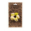 Oli&Carol Patricio The Pistachio Teether