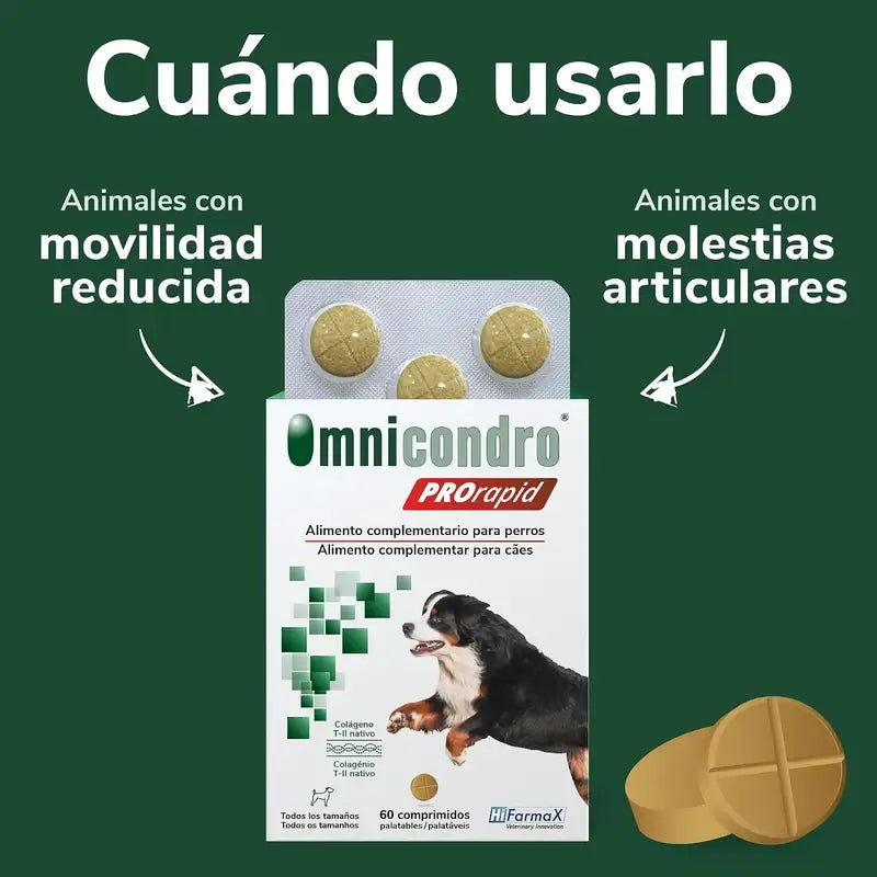 Omnicondro Prorapid, 60 Tablets
