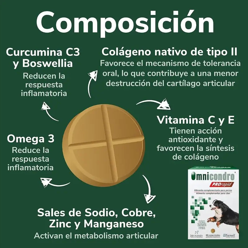 Omnicondro Prorapid, 60 Tablets