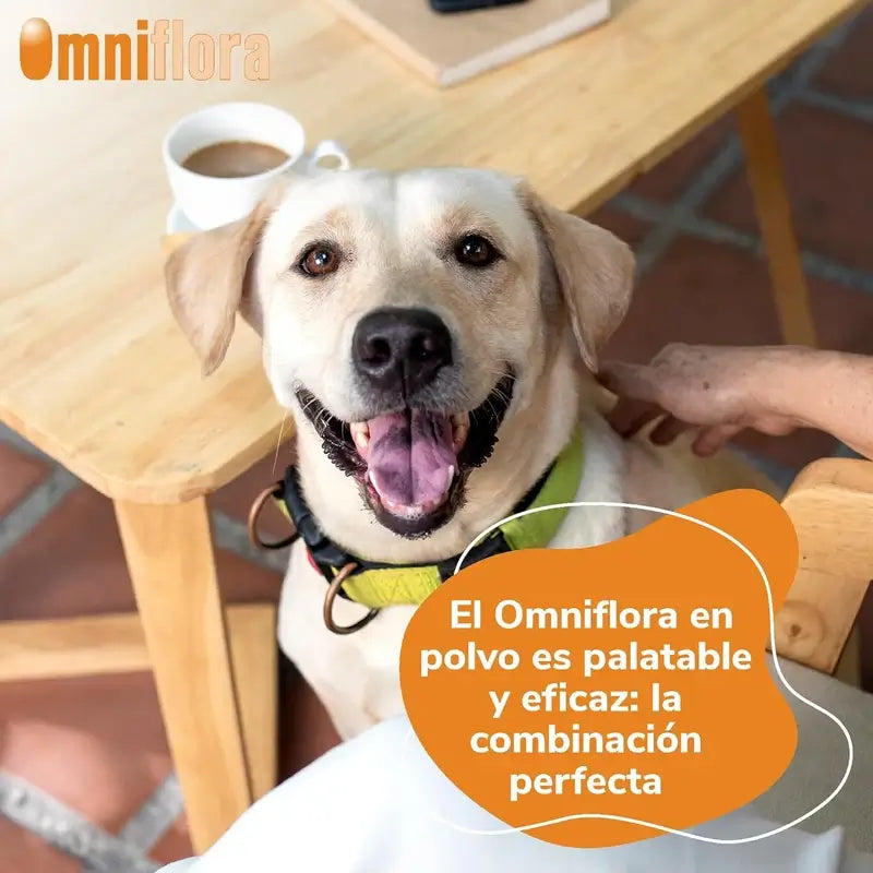 Omniflora Oral Powder, 30 Sachets x 2 grams