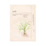 Ondo Beauty 36.5 Adenosine & Zhi Mu Lifting Tang-Tang Mask, 25 g