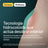 Compeed Pack Dressing Medium Hardness, 4x6 Units