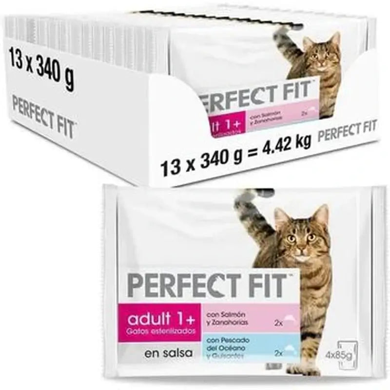 Perfect Fit Fish 13x4x85 grams