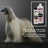 Petuxe Two-Phase Conditioner, All Hair Types 300 Ml