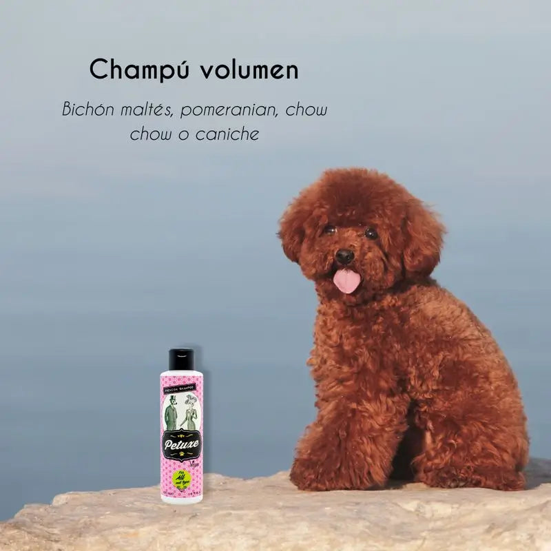 Petuxe Special Volume Shampoo 200 Ml