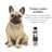 Petuxe Hypoallergenic Shampoo (Sensitive Skin). Zero%: Salt, Sulfates, Silicones,... 500 Ml