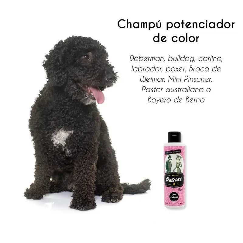 Petuxe Colour Boosting Shampoo (Black & Dark Hair) 200 Ml